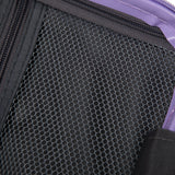 Blue Purple 2PC Luggage ABS Spinner Wheel Set with Combination Lock - 14" & 20" Cosmetic Case (Blue Purple)